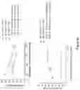 Fig. 25 - COMPOSITIONS AND METHODS OF CHIMERIC AUTOANTIBODY RECEPTOR T CELLS