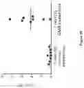 Fig. 30 - COMPOSITIONS AND METHODS OF CHIMERIC AUTOANTIBODY RECEPTOR T CELLS