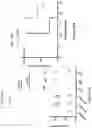 Fig. 35 - COMPOSITIONS AND METHODS OF CHIMERIC AUTOANTIBODY RECEPTOR T CELLS