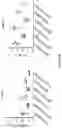 Fig. 37 - COMPOSITIONS AND METHODS OF CHIMERIC AUTOANTIBODY RECEPTOR T CELLS
