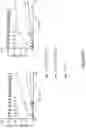 Fig. 40 - COMPOSITIONS AND METHODS OF CHIMERIC AUTOANTIBODY RECEPTOR T CELLS