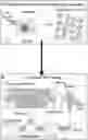 Fig. 01 - CONTINUOUS THREE-DIMENSIONAL PRINTING OF ARCHITECTED PIEZOELECTRIC SENSORS