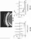 Fig. 06 - CONTINUOUS THREE-DIMENSIONAL PRINTING OF ARCHITECTED PIEZOELECTRIC SENSORS