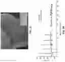 Fig. 09 - CONTINUOUS THREE-DIMENSIONAL PRINTING OF ARCHITECTED PIEZOELECTRIC SENSORS