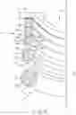 Fig. 22 - COIL SPRING