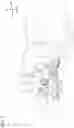 Fig. 07 - PARKING BRAKE STRUCTURE