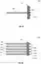 Fig. 08 - SYSTEMS AND METHODS FOR MEASURING A CLEAVE ANGLE OF AN OPTICAL FIBER