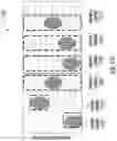 Fig. 197 - APPARATUSES, SYSTEMS, AND METHODS FOR SAMPLE TESTING