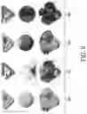 Fig. 08 - System and method for determining spatial distribution of variable deposition size in additive manufacturing