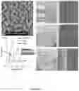 Fig. 06 - Crystallographically-oriented Metallic Films with Two-dimensional Crystal Layers