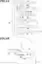 Fig. 05 - Wiring substrate and electronic device
