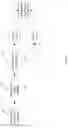 Fig. 03 - Neural-network-based receivers