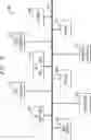Fig. 07 - COORDINATING CELLULAR AND CABLE/FIBER BROADBAND NETWORKS