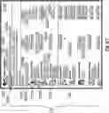 Fig. 255 - MULTIUSE COMMUNICATION SYSTEM AND METHOD FOR CONNECTING USERS BASED UPON SHARED NEEDS AND CHALLENGES