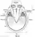 Fig. 02 - EQUINE SHOE WITH CONCAVE TOPSIDE