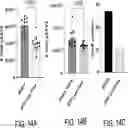 Fig. 15 - METHODS AND SYSTEMS FOR REAL-TIME, CONTINUOUS PRODUCTION OF NON-VIRAL CARRIER NUCLEIC ACID PARTICLES