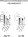 Fig. 16 - METHODS AND SYSTEMS FOR REAL-TIME, CONTINUOUS PRODUCTION OF NON-VIRAL CARRIER NUCLEIC ACID PARTICLES