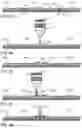 Fig. 11 - Vertical joint system and associated surface covering system