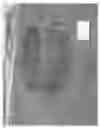 Fig. 02 - COLLAPSIBLE FIRE RING