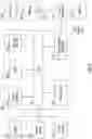 Fig. 08 - PROBABILISTICALLY PRIORITIZED PROCESSING QUEUE