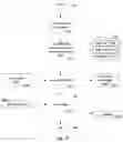Fig. 78 - STRUCTURED DATA FOLDING WITH TRANSMUTATIONS