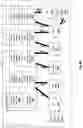 Fig. 89 - STRUCTURED DATA FOLDING WITH TRANSMUTATIONS