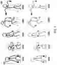 Fig. 06 - SYSTEMS, METHODS, AND DEVICES FOR CREATING A SPLINE-BASED VIDEO ANIMATION SEQUENCE