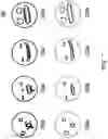 Fig. 08 - SYSTEMS, METHODS, AND DEVICES FOR CREATING A SPLINE-BASED VIDEO ANIMATION SEQUENCE