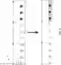 Fig. 09 - Display apparatus with light-splitting component and driving method thereof