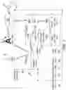 Fig. 02 - Animal safety collar