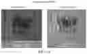 Fig. 02 - FORMULATIONS AND METHODS FOR REGULATING AND STIMULATING PLANT GROWTH