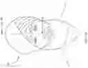 Fig. 20 - PROTECTIVE GARMENT ASSEMBLY