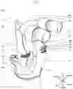 Fig. 02 - MEDICAL EXAMINATION DEVICE