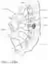 Fig. 197 - Method of hub communication with surgical instrument systems