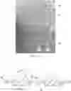 Fig. 08 - Shaped Nonwoven