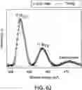 Fig. 14 - MAGNETOELECTRIC NANOCOMPOSITES AND METHOD OF PREPARATION THEREOF