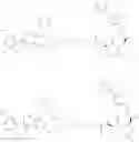 Fig. 418 - BIFUNCTIONAL COMPOUNDS AND PHARMACEUTICAL USES THEREOF