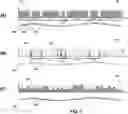 Fig. 02 - DEVICES AND METHODS FOR CYTOGENETIC ANALYSIS