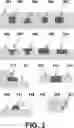 Fig. 04 - DEVICES AND METHODS FOR CYTOGENETIC ANALYSIS