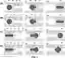 Fig. 05 - DEVICES AND METHODS FOR CYTOGENETIC ANALYSIS