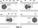 Fig. 06 - DEVICES AND METHODS FOR CYTOGENETIC ANALYSIS