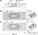 Fig. 12 - DEVICES AND METHODS FOR CYTOGENETIC ANALYSIS
