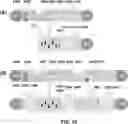 Fig. 15 - DEVICES AND METHODS FOR CYTOGENETIC ANALYSIS