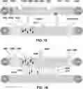Fig. 16 - DEVICES AND METHODS FOR CYTOGENETIC ANALYSIS