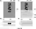 Fig. 19 - DEVICES AND METHODS FOR CYTOGENETIC ANALYSIS