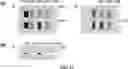 Fig. 21 - DEVICES AND METHODS FOR CYTOGENETIC ANALYSIS