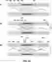 Fig. 28 - DEVICES AND METHODS FOR CYTOGENETIC ANALYSIS