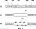 Fig. 29 - DEVICES AND METHODS FOR CYTOGENETIC ANALYSIS