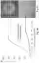 Fig. 43 - SOFT ROBOTIC TECHNOLOGIES, ARTIFICIAL MUSCLES, GRIPPERS AND METHODS OF MAKING THE SAME