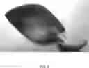 Fig. 06 - SAFETY RAZORS